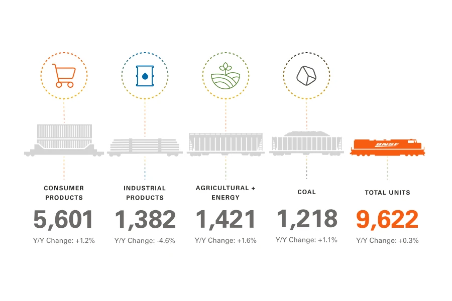 _what we carried_ Infographic template