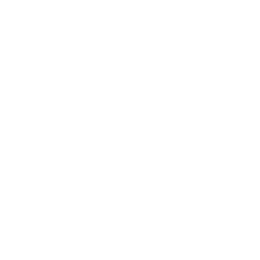 Handshake icon